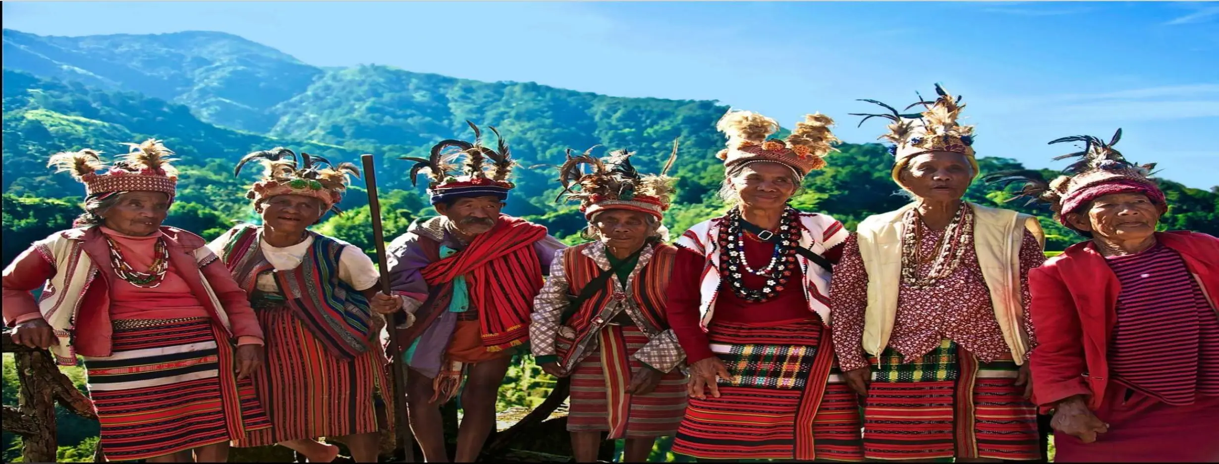 Image for Tribal Culture
